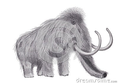 Woolly mammoth with a graphite pencil Stock Photo