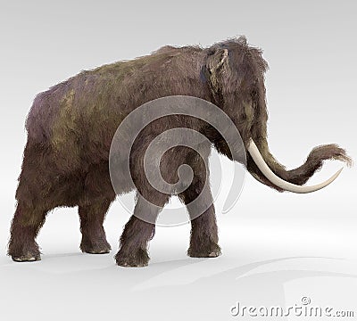 Woolly Mammoth Cartoon Illustration