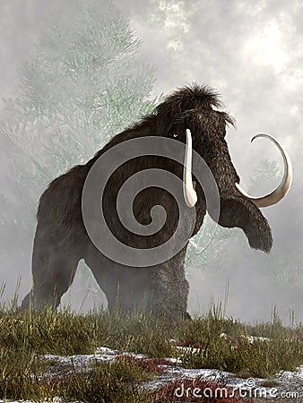 Woolly Mammoth Stock Photo