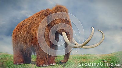 Woolly mammoth, prehistoric mammal in foggy landscape Stock Photo