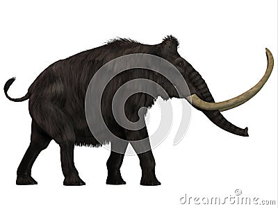 Woolly Mammoth Side Profile Stock Photo