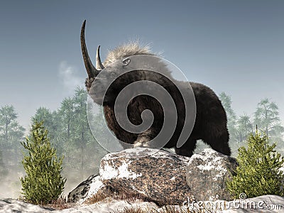 Woolly Rhino Stock Photo
