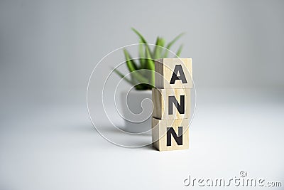 The word ANN Artificial Neural Network on wooden cubes. White background Stock Photo