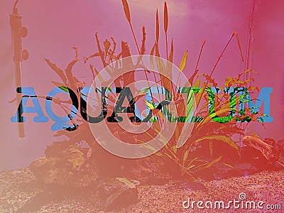 The word aquarium in transparent form isolated on island setup of aquarium and red color. Stock Photo