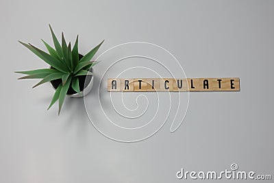 The word Articulate is written in wooden letter tiles Stock Photo