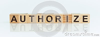 Word AUTHORIZE made with wood building blocks Stock Photo