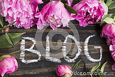 Word Blog with Pink Peonies Stock Photo