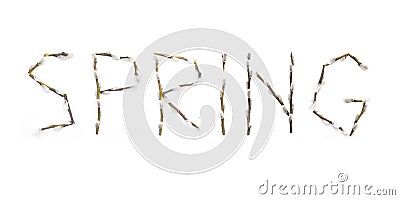 Word from the branches of spring. Letters from willow branches on a white background. Branches with growing buds. Blooming spring Stock Photo