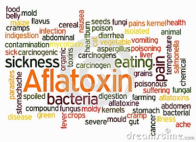 Word Cloud with AFLATOXIN concept create with text only Stock Photo