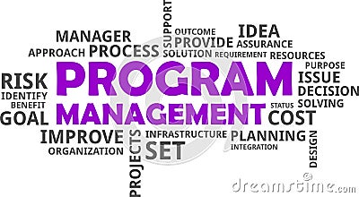 Word cloud - program management Vector Illustration