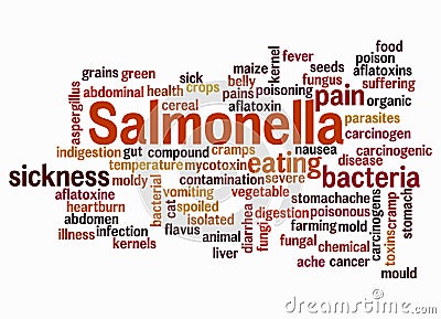 Word Cloud with SALMONELLA concept create with text only Stock Photo