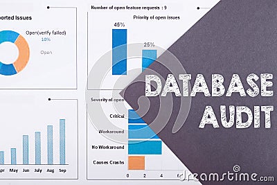 The word DATABASE AUDIT is written on a gray background with diagrams and graphs Stock Photo