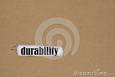The word durability is written in a hole in the cardboard. The concept of durability Stock Photo
