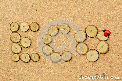 The word Eco made of wood slices with ladybug on recycled paper background - Concept of ecology Stock Photo