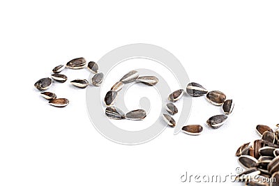 Word eco in sunflower seed on white background Stock Photo