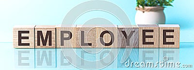 Word EMPLOYEE made with wood building blocks on a blu back ground Stock Photo