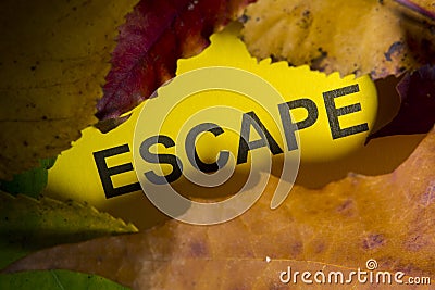 Word escape Stock Photo