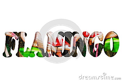 The word FLAMINGO in 3d Stock Photo