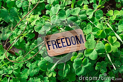The word freedom wooden tag Stock Photo