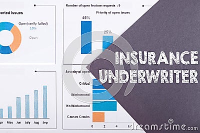 The word INSURANCE UNDERWRITER is written on a gray background with diagrams and graphs Stock Photo