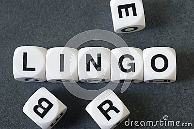 Word lingo on toy cubes Stock Photo