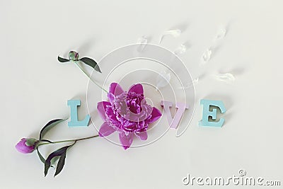 The word love from wooden letters, flowers and petals, on a light background Stock Photo