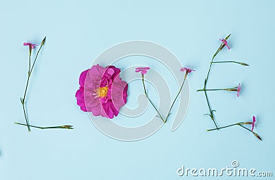 Word LOVE written with carnation and wild rose flowers Stock Photo