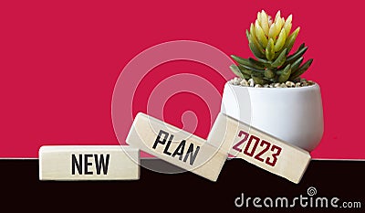 word New plan 2023 on wooden blocks and cactus flower on red and black background Stock Photo