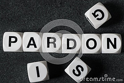 Word pardon on toy cubes Stock Photo