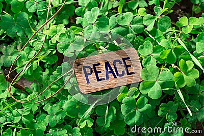 The word peace wooden tag Stock Photo