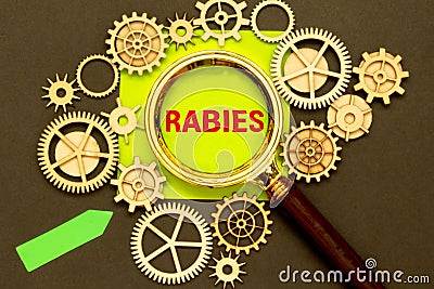 the word RABIES in a magnifying glass Stock Photo