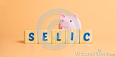 The word selic written on wooden cubes with a piggy bank. Stock Photo