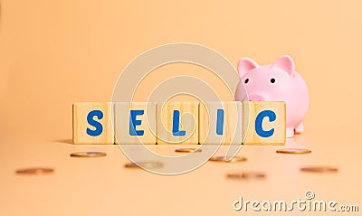 The word selic written on wooden cubes with a piggy bank and some brazilian coins. Stock Photo