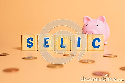 The word selic written on wooden cubes with a piggy bank and some brazilian coins. Stock Photo