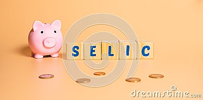 The word selic written on wooden cubes with a piggy bank and some brazilian coins. Stock Photo