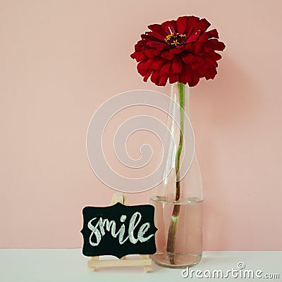 Word Smile written chalk on a mini chalkboard. Floral lifestyle composition in front of pale pink pastel background. Stock Photo