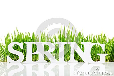 Word Spring with fresh grass Stock Photo