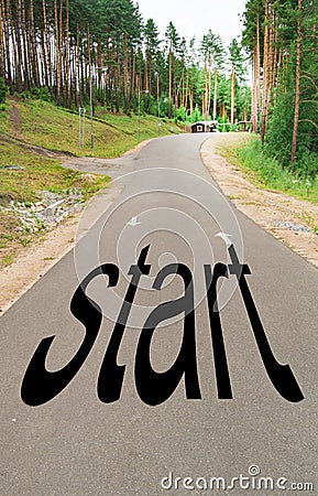 The word START is written on the highway in the middle of an empty asphalt road in a natural Park, between tall pines Stock Photo