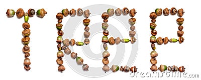 Word tree is laid out of acorns Stock Photo