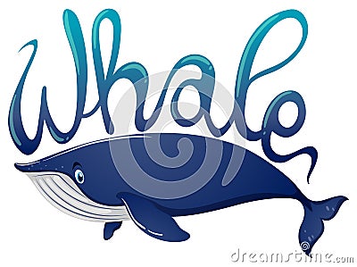 Word for whale and blue whale on white background Vector Illustration