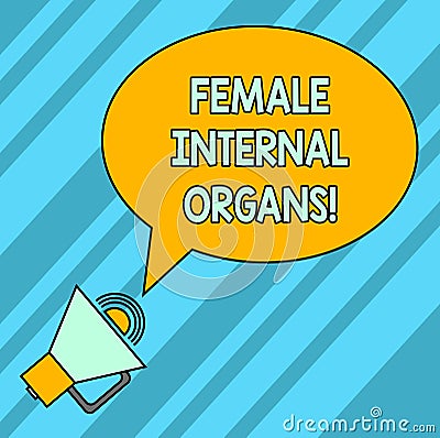 Word writing text Female Internal Organs. Business concept for The internal genital structures of the Blank Oval Stock Photo