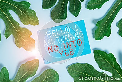 Word writing text Hello I Am Turning No Into Yes. Business concept for Persuasive Changing negative into positive. Stock Photo