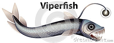 Wordcard design for viperfish with white background Vector Illustration