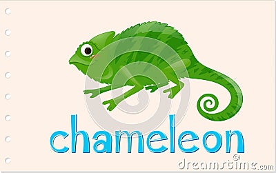 Wordcard with wild chameleon Vector Illustration