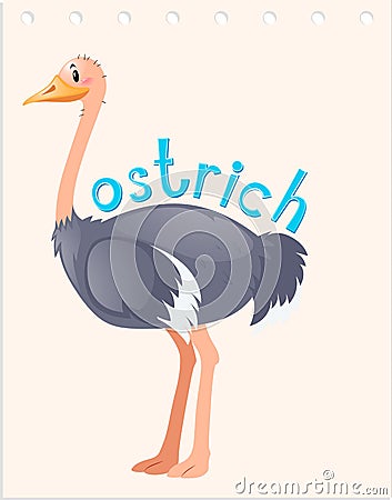 Wordcard for wild ostrich Vector Illustration