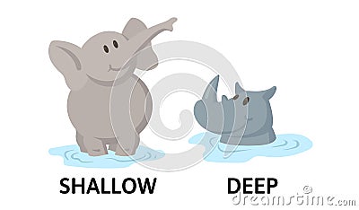 Words deep and shallow flashcard with cartoon animal characters. Opposite adjectives explanation card. Flat vector Vector Illustration