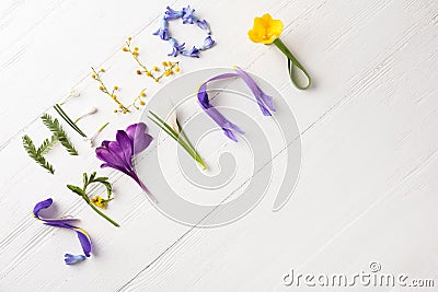 Words HELLO SPRING made of fresh flowers on white wooden table, flat lay. Space for text Stock Photo