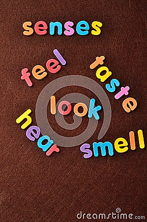 The words senses, feel, taste, look, hear and smell Stock Photo