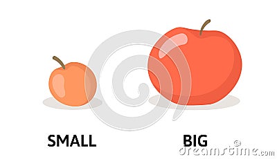 Words small and big flashcard with cartoon red apple. Opposite adjectives explanation card. Flat vector illustration Vector Illustration
