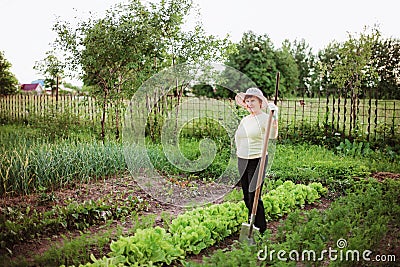 Work on beds. Stock Photo